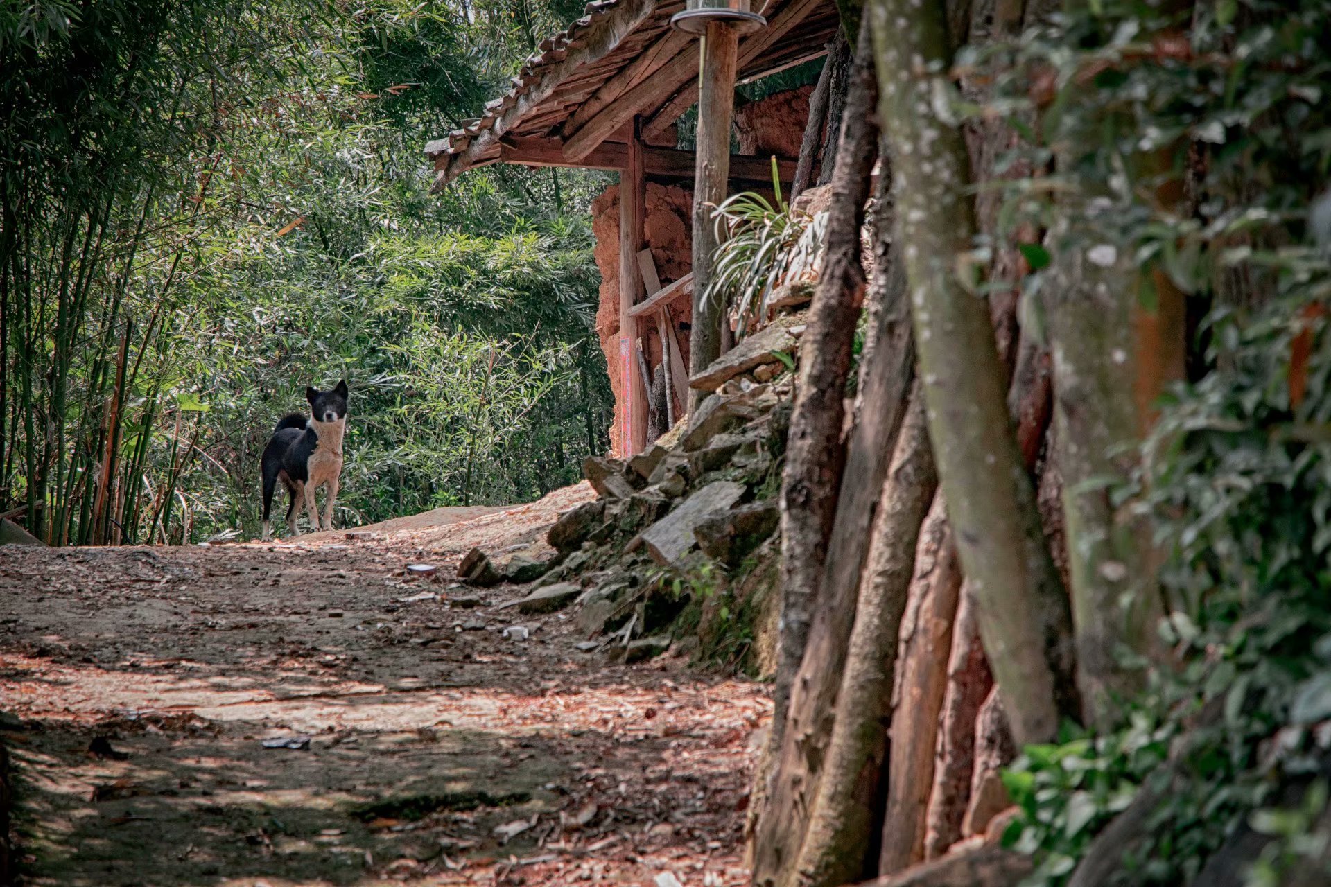文山老君山风景名胜区