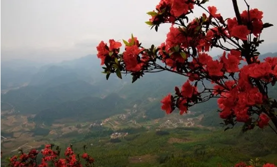富宁的这处美景,你可能没听说过