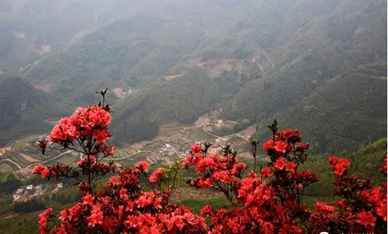 富宁的这处美景,你可能没听说过
