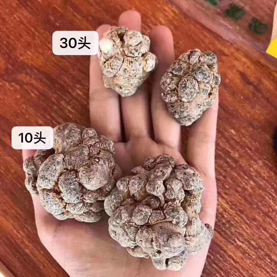 买三七要买大个头的还是小个头的?